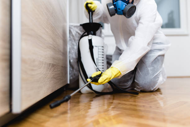 Best Residential Pest Control  in Mantachie, MS