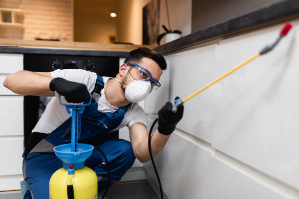 Best Bed Bug Extermination  in Mantachie, MS
