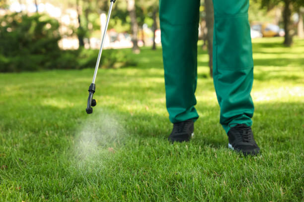 Best Wasp Removal Services  in Mantachie, MS