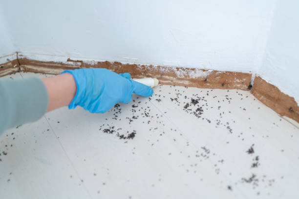Best Pest Inspection Near Me  in Mantachie, MS